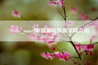 盐城中国消防救援学院介绍