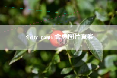 盐城金牌图片真实
