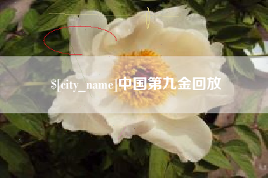 盐城中国第九金回放