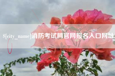盐城消防考试网官网报名入口网址