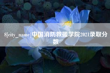 盐城中国消防救援学院2021录取分数
