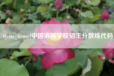 盐城中国消防学校招生分数线代码