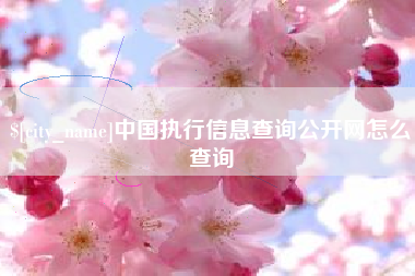 盐城中国执行信息查询公开网怎么查询