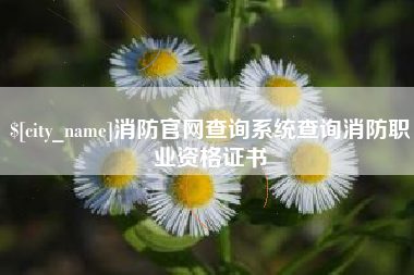 盐城消防官网查询系统查询消防职业资格证书