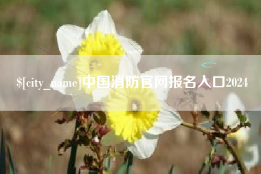 盐城中国消防官网报名入口2024