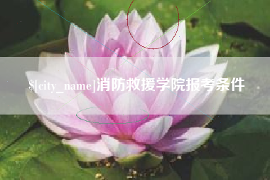 盐城消防救援学院报考条件