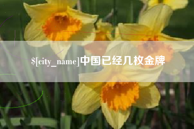 盐城中国已经几枚金牌