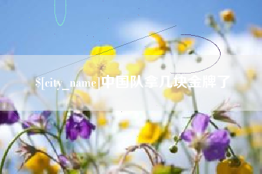 盐城中国队拿几块金牌了