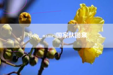 盐城国家队图案