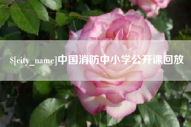 盐城中国消防中小学公开课回放