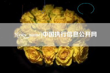 盐城中国执行信息公开网