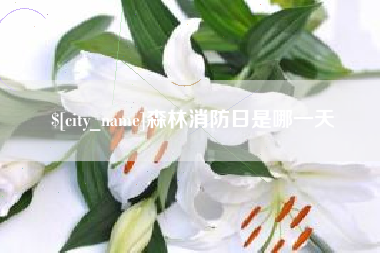 盐城森林消防日是哪一天