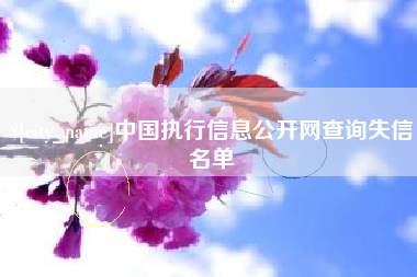 盐城中国执行信息公开网查询失信名单
