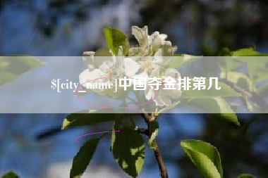 盐城中国夺金排第几