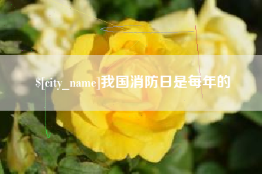 盐城我国消防日是每年的