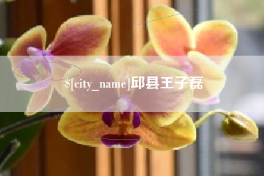 盐城邱县王子磊