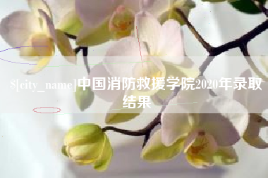 盐城中国消防救援学院2020年录取结果