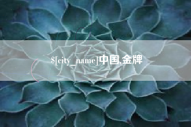 盐城中国,金牌