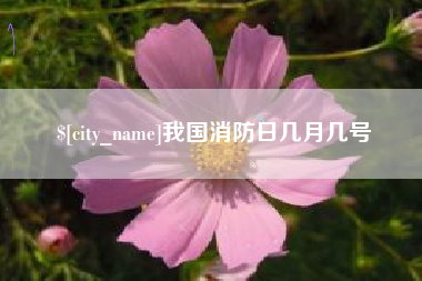 盐城我国消防日几月几号