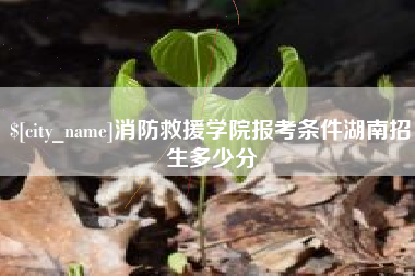 盐城消防救援学院报考条件湖南招生多少分