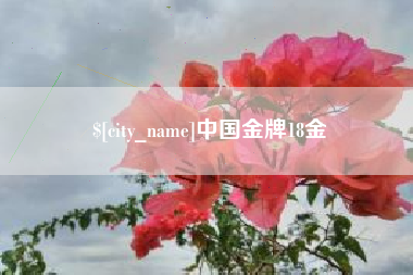 盐城中国金牌18金