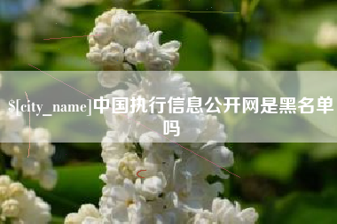 盐城中国执行信息公开网是黑名单吗