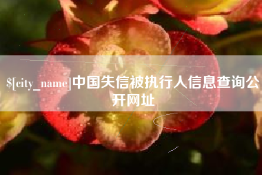 盐城中国失信被执行人信息查询公开网址