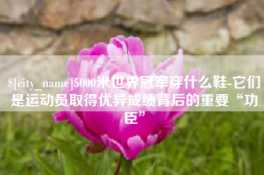 盐城5000米世界冠军穿什么鞋-它们是运动员取得优异成绩背后的重要“功臣”