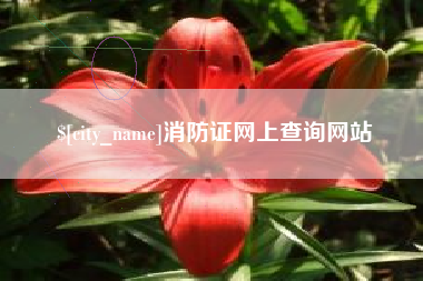 盐城消防证网上查询网站