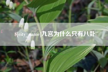 盐城九宫为什么只有八卦