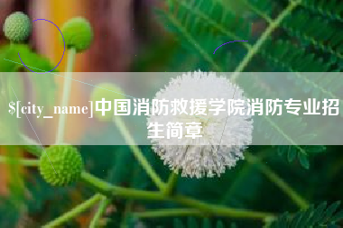 盐城中国消防救援学院消防专业招生简章