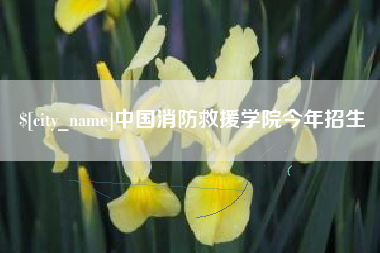 盐城中国消防救援学院今年招生