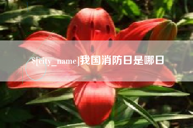 盐城我国消防日是哪日