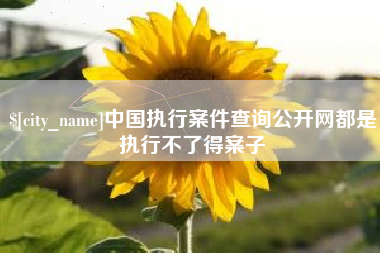 盐城中国执行案件查询公开网都是执行不了得案子