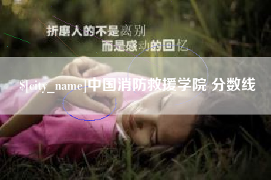 盐城中国消防救援学院 分数线