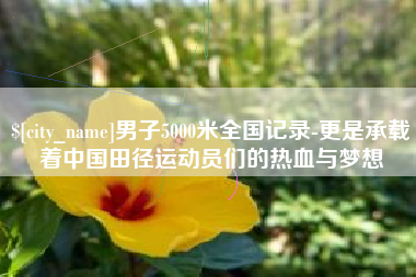 盐城男子5000米全国记录-更是承载着中国田径运动员们的热血与梦想