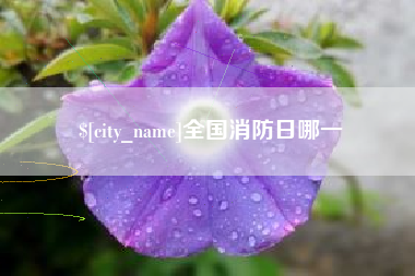 盐城全国消防日哪一