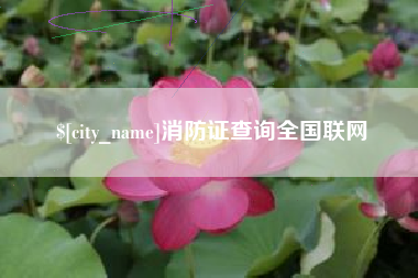 盐城消防证查询全国联网