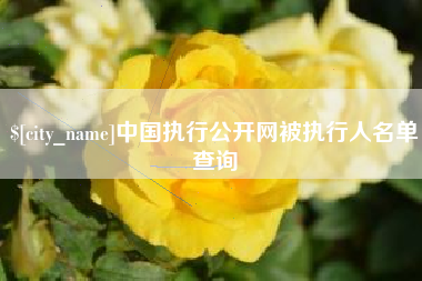 盐城中国执行公开网被执行人名单查询