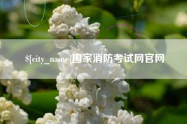 盐城国家消防考试网官网