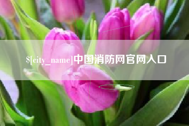 盐城中国消防网官网入口
