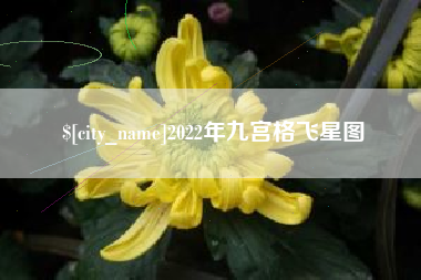 盐城2022年九宫格飞星图