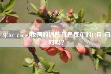 盐城我国的消防日是每年的11月9日对吗？