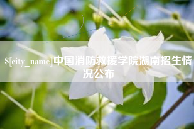 盐城中国消防救援学院湖南招生情况公布