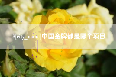 盐城中国金牌都是哪个项目