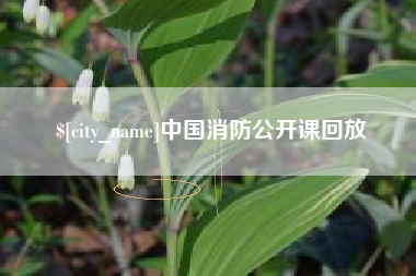 盐城中国消防公开课回放