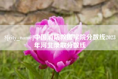 盐城中国消防救援学院分数线2023年河北录取分数线