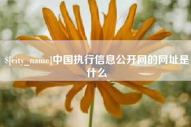 盐城中国执行信息公开网的网址是什么