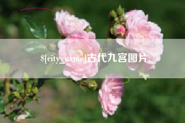 盐城古代九宫图片