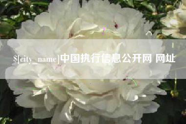 盐城中国执行信息公开网 网址